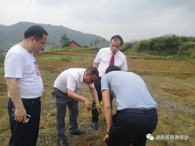 1757661413137353.jpg 未命名-2.jpg