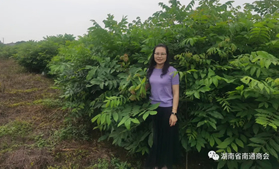 湖南省南通商会执行会长王羽茜